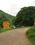Amirthi Forest